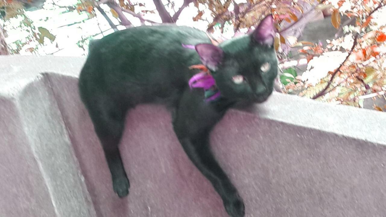 Cafe De Baan Raow Ξενοδοχείο Μπανγκόκ Εξωτερικό φωτογραφία